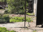 Фото: Тульская служба новостей