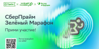 Тула присоединится к всероссийскому забегу «Зелёный марафон» - Департамент по спорту и туризму