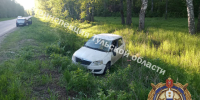 В Плавском районе автоледи за рулем Skoda не справилась с управлением и вылетела в кювет - ИА Тульская пресса.Ru