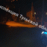В Щекинском районе подросток на мопеде сбил собаку и пострадал сам - ИА Тульская пресса.Ru