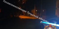 Пацан на мопеде врезался в собаку в Щекинском районе Тульской области - Комсомольская Правда