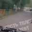 В Туле на улице Максимовского заметили лося - ТК Первый Тульский