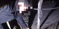 Транспортная полиция задержала иностранца за сбыт наркотиков в Туле - ИА Тульская служба новостей