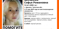 Туляков просят помочь в поисках 16-летнего подростка - ТК Первый Тульский