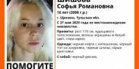 Разыскивается 16-летняя девушка, пропавшая три дня назад в Щекине - ИА Тульская пресса.Ru