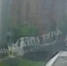 В Туле водитель ГАЗели открыл «третью очередь» Восточного обвода - Myslo.Ru