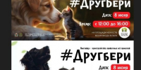 Тулякам предложили найти четвероногих друзей - Молодой коммунар