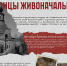 Первый приз спецноминации - Tula.Sm.News
