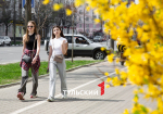 Тулякам рассказали, как правильно организовать питьевой режим летом