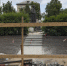 _ZYB8010.jpg - Myslo.Ru