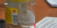 За неделю клещи стали кусать туляков почти в полтора раза чаще - ТК Первый Тульский