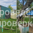 В Куркино нашли опасные детские площадки - Myslo.Ru
