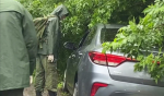 Что известно о застреленном в машине депутате Архипове
