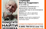 В Щекинском районе пропал 87-летний пенсионер в камуфляжной куртке