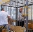 Суд взял под стражу обвиняемого в убийстве директора новомосковской школы олимпийского резерва - ИА Тульская служба новостей