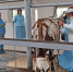 ausnanncpbwy72xvw30rdj9sscyf03i9.jpg - Myslo.Ru