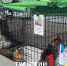В Туле проходит благотворительная акция «Машина добра» - ТК Первый Тульский