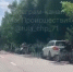 В Тульской области водитель сбил лося - ИА Тульская служба новостей