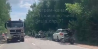 В Тульской области водитель сбил лося - ИА Тульская служба новостей