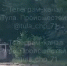 Стали известны подробности ДТП с лосем в Тульской области - ИА Тульская служба новостей