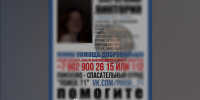 Пропавшая девочка-подросток из Новомосковска найдена живой - ИА Тульская служба новостей