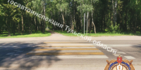 Мужчина попал под колеса автомобиля Honda в Новомосковске Тульской области - Центр 71