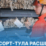 «Промсорт-Тула» обновила сортамент продукции для судостроения, машиностроения, трубной и нефтегазовой промышленности - Корпорация развития Тульской области