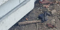 Взрывоопасные предметы времен войны нашли в двух районах Тульской области - ИА Тульская служба новостей
