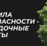 Посадочные работы без вреда для здоровья - Департамент по спорту и туризму