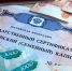 Более пяти тысяч тульских семей распорядились материнским капиталом с начала года - ИА Тульская служба новостей