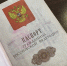 Стало известно, кого в России будут лишать гражданства - ТК Первый Тульский
