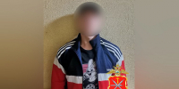 В Туле задержали рецидивиста за кражу двух велосипедов - ИА Тульская служба новостей