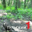 На границе Тульской области заметили канюка - ТК Первый Тульский
