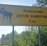 Тульских водителей предупредили о старте рейда "Федеральная дорога" - ТК Первый Тульский