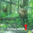На границе Тульской области заметили зубрят - ТК Первый Тульский
