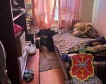 Пенсионер и липковчанка фиктивно зарегистрировали десятерых мигрантов в Киреевском районе Тульской области