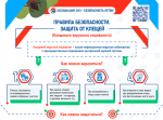 Инфографика о безопасности в летний период