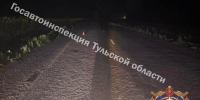 Подростки на мопеде сбили собаку и попали в больницу в Ефремове - Молодой коммунар