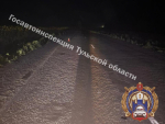 Подростки на мопеде сбили собаку и попали в больницу в Ефремове