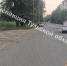 В Новомосковске мальчик на самокате попал под колеса Daewoo - ИА Тульская пресса.Ru