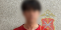 В Новомосковске мигрант задержан за кражу женского белья из магазина - ГТРК