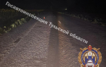 Двое подростков опрокинулись на мопеде в Ефремовском районе