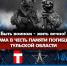 В Новомосковске пройдет турнир по MMA в честь погибших воинов - ИА Тульская пресса.Ru