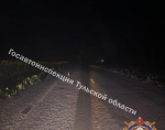 В Ефремовском районе подростки сбили собаку на мопеде и попали в больницу