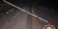 16-летний туляк сбил собаку и оказался в больнице - ТК Первый Тульский