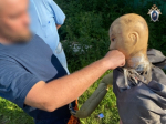 В Богородицке возбуждено уголовное дело о причинении тяжкого вреда здоровью, повлекшего по неосторожности смерть местного жителя