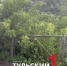 Тулу накрыл сильнейший тропический ливень - ТК Первый Тульский