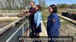 В Ефремовском районе вода из очистных попадала в реку Красивая меча
