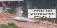 На пляже в Туле умер мужчина - ИА Тульская служба новостей
