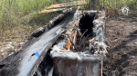 Двое подростков подожгли релейный шкаф у железной дороги в Алексине